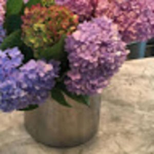 Meet your Posher, Beverly